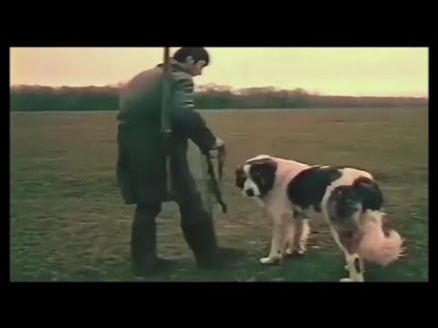 \"ლომა\" - თანაგრძნობა (loma)