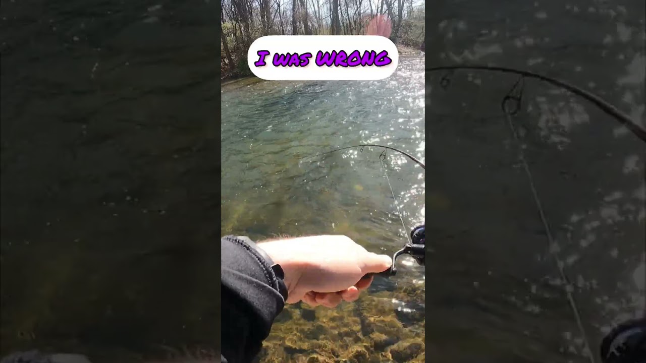 FIRST EVER TIGER TROUT ON A SPINNER
