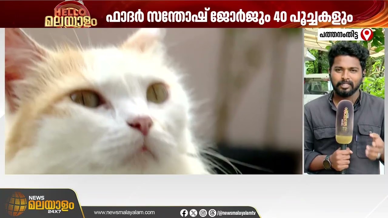 ഫാദർ സന്തോഷ് ജോർജും 40 പൂച്ചകളും | Pathanamthitta