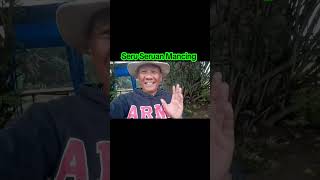 Seru Serian Mancing Berhadiah #jatisampurnafishingclub #fishing #mancingceria #heryhermawanto