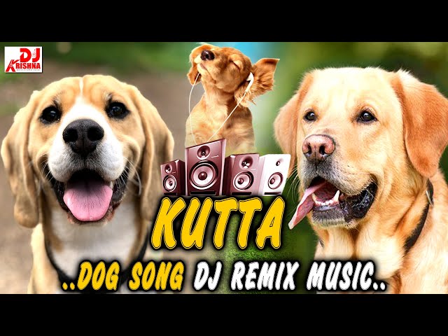 Remix DJ Lagu Anjing || Lagu DJ Anjing 2024 | Lagu Anjing Populer | Remix Anjing Hanya Untuk Hiburan | #DjMix class=