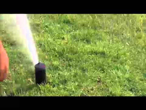Best sprinkler heads