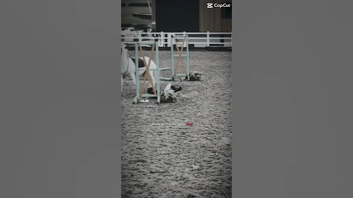 #horse #equestrianjourney #bestfriend #equestrian #horsefan