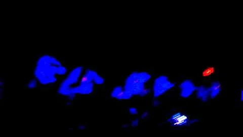 Athol HS Freshmen Lip Sync 2011; I do not own the rights to this song.