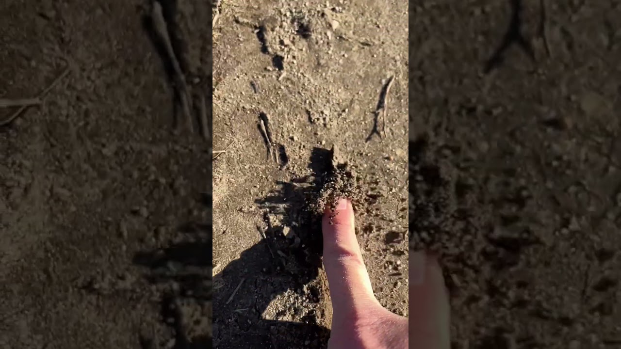 ASMR Finger POV - dirtrun sprint - 