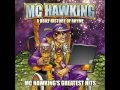 MC Hawking - UFT for the MC