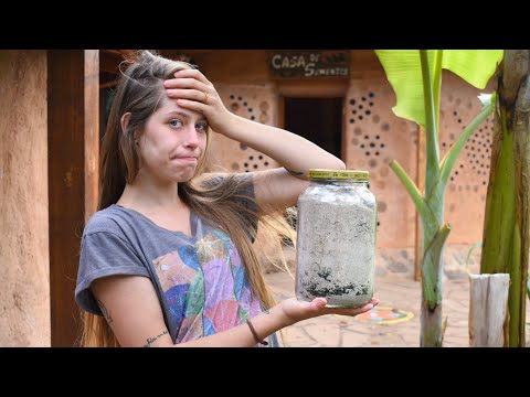 Vídeo: As plantas podem crescer em cinzas humanas: informações sobre jardinagem com cinzas de cremação