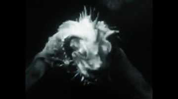 Lighthouses [Official Music Video]