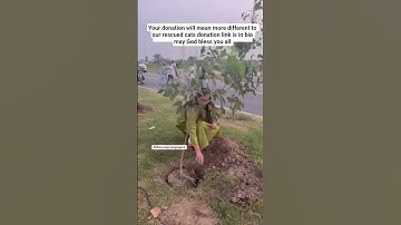 donation link in bio for any amount of food help #fypシ゚viral