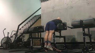 Functional Strength - Banded Reverse Hyper on GHD - ON AIR