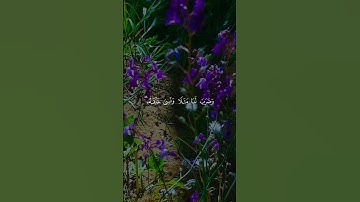 آيات من القرآن الكريم بصوت رائع يريح القلب ❤ #القرآن_الكريم #اكسبلور #المصحف