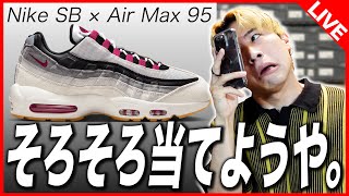 【SNKRS生挑戦】せめてエントリーはさせてな！？ Nike SB × Air Max 95