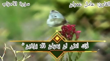 ماتيسر من سورة الأحزاب (عادل عمران)❤️❤️