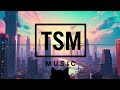 The sun will rise again　　　TSM music | DancePOP | EDM | No Copyright Music