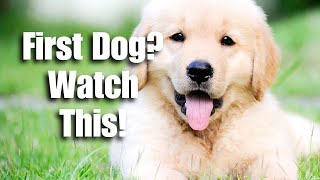 5 Tips For First Time Dog Owners by DogRisk 372 views 1 month ago 6 minutes, 20 seconds