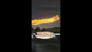Flying Dragon Soaring To Sky In Chinas Guangzhou