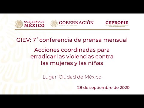GIEV: 7˚conferencia de prensa mensual. Ciudad de México.