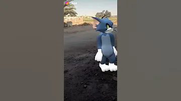 احلى اغنيه قط وفار 