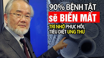 Tiết Lộ từ CÁC BÁC SĨ GIÀ NHẤT NHẬT BẢN : Chỉ Ăn Những Thứ Này Bạn Sẽ Sống Đến 100
