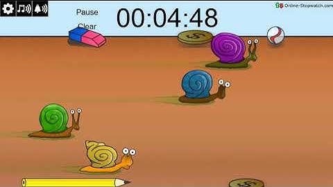 8 Minute Snail Racing Timer (slow)