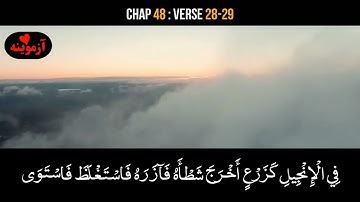 قرآن کریم پښتو ترجمه سورة الفتح آیات 28-29 Quran with Pashto translation