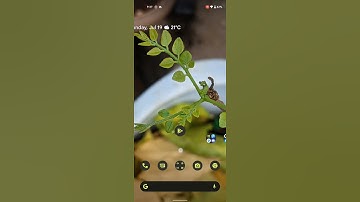 App icon struck on home screen | Android 12 Beta 3 bug | Pixel 4a