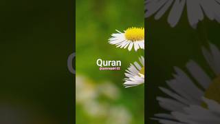 Surah Mumtahina Urdu translation