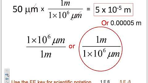A human hair is approximately 50 μm in diameter? (2023)