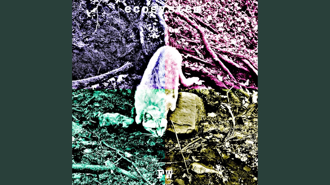 Watch Pangea on YouTube Watch Pangea on YouTube