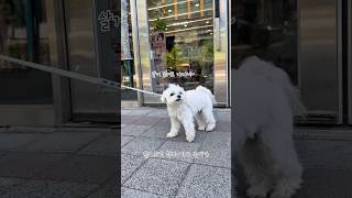 산책할 때 마다 올리브영 갔더니 ㅋㅋ