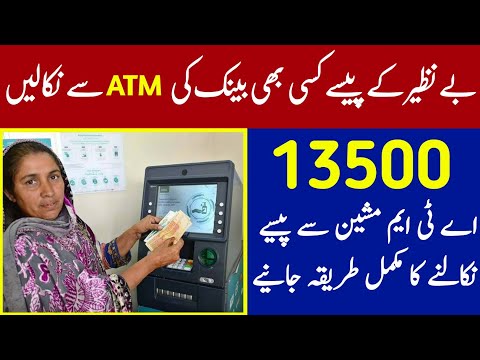bisp payment check