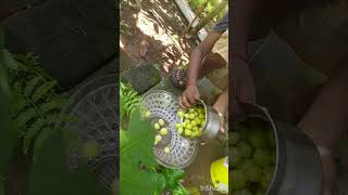 mouthwatering video## star gooseberry @Diaz planet😍😍