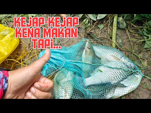 Video: Cara Memancing Dengan Betul Dengan Pengayun