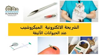 الشريحة الإلكترونية  الميكروشيب عند الحيوانات الأليفة