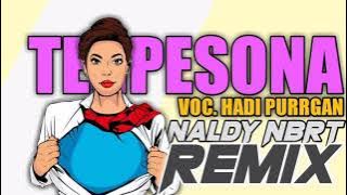 Hadi Purrgan _Terpesona X Naldhy Nbrt(Official music)