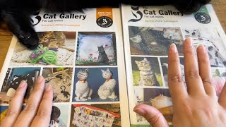 ASMR Page flipping Cat Gallery magazine catalogue ~ Soft Spoken ~ screenshot 1