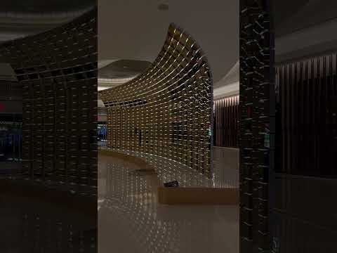 OMG! Caesars Palace Hotel and Casino - Las Vegas, Nevada