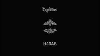 Download lagu LAGRIMAS // HABAK SPLIT