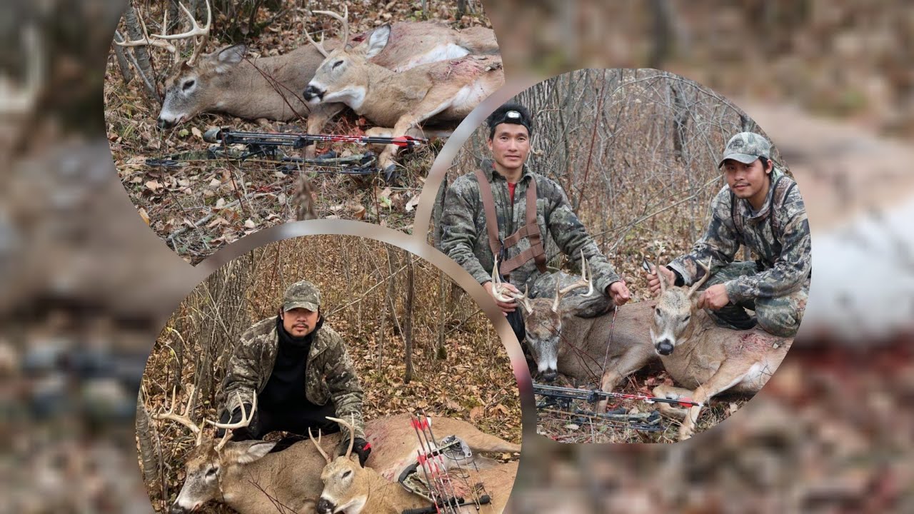 Public hunting land Buck.🦌🦌 YouTube