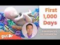 Your babys gut microbiome  gutdr miniexplainer