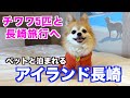 【ペットと泊まれる】多頭飼いでも大歓迎♪アイランド長崎が最高だった!