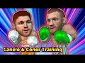 Conor trains with Canelo for power shots