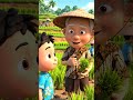 Suara Pagi yang Menggugah: Kisah Mimpi Kecil di Sawah.