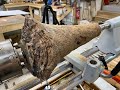 Woodturning - The Palm Tree Root !!