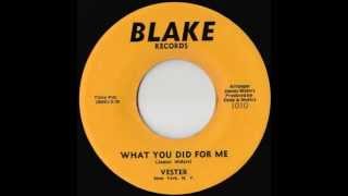 Vester - What You Did For Me