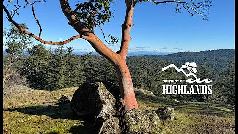 Committee of the Whole - November 10, 2025