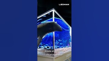 Ledman UHD COB naked-eye 3D solution