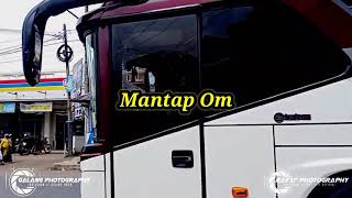 Story Wa Bus Primajasa -- Kata-kata Bang Afif Official