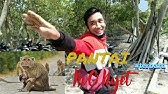Pantai Putra Deli Pantai Labu Lubuk Pakam Deli Serdang Youtube