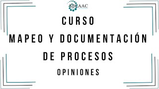 Comentarios Curso de Mapeo y Documentación de Procesos
